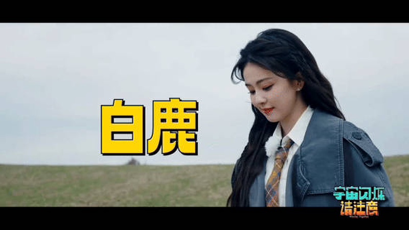 王鹤棣
