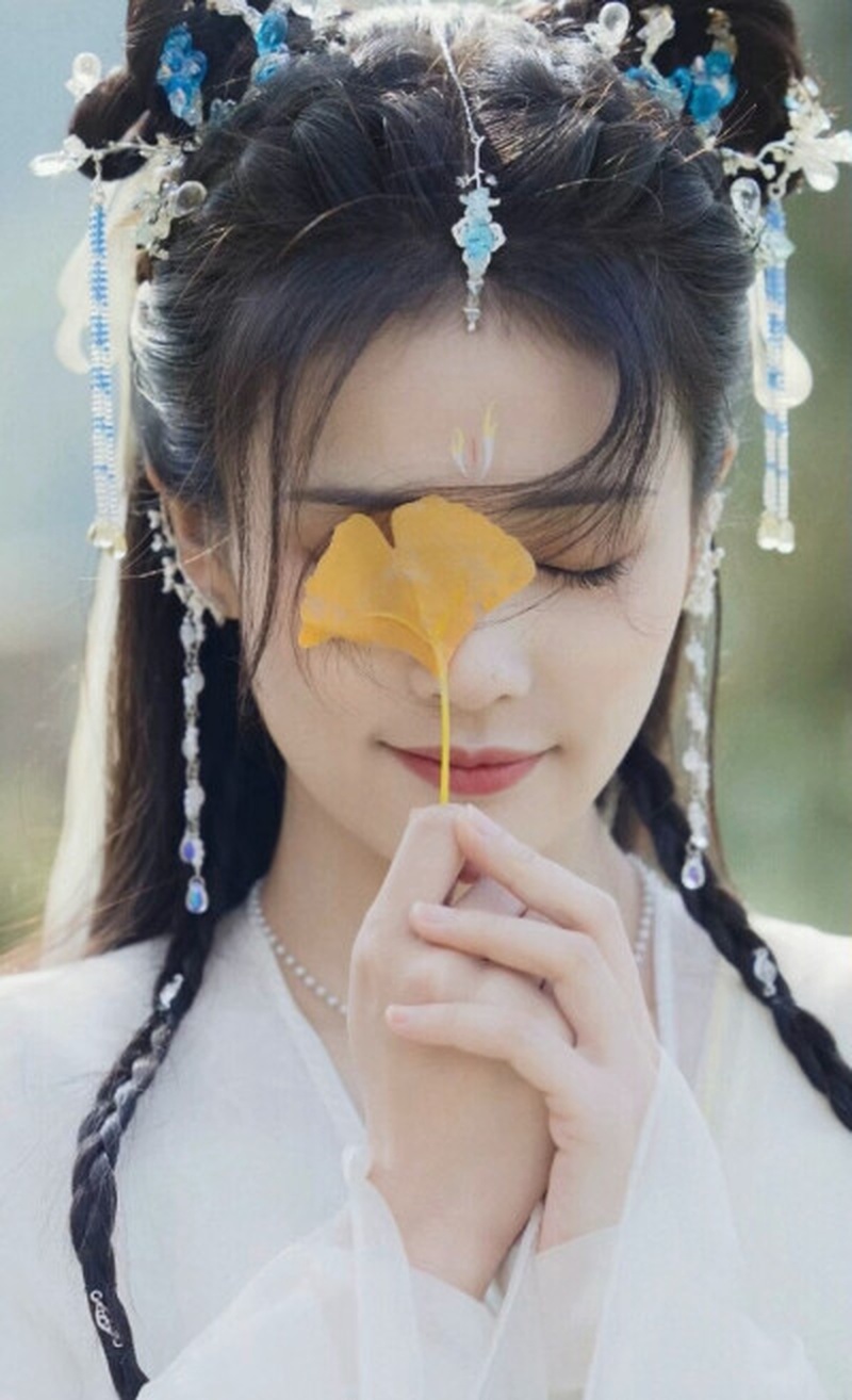 白鹿